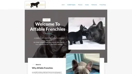 Screenshot of