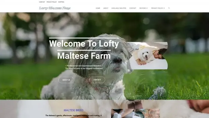 Screenshot of