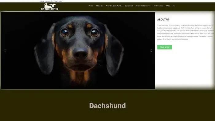 Screenshot of