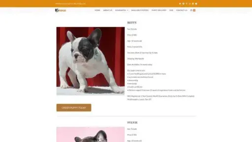 Screenshot of