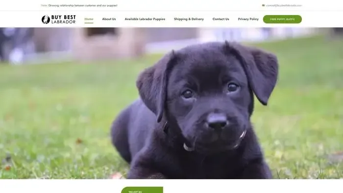 Screenshot of