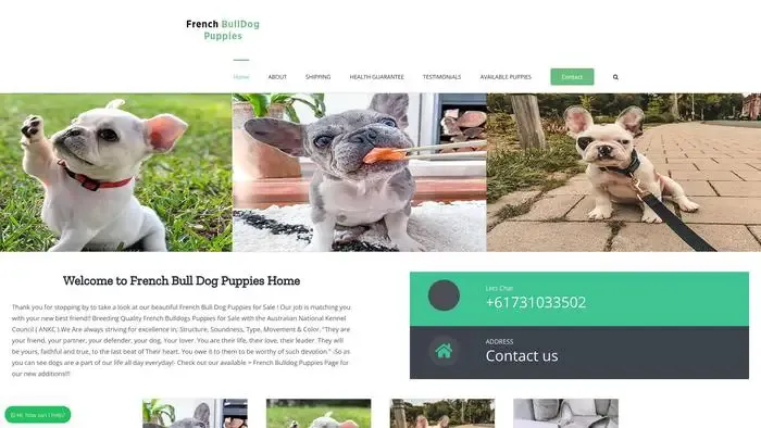 Screenshot of