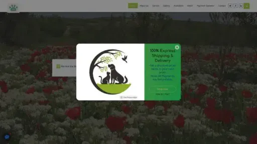 Screenshot of