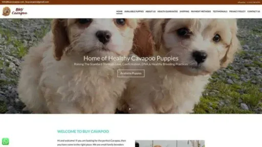 Screenshot of||