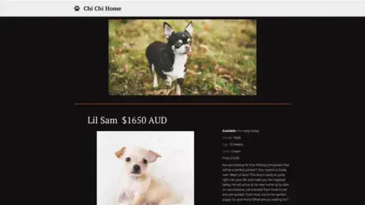 Screenshot of