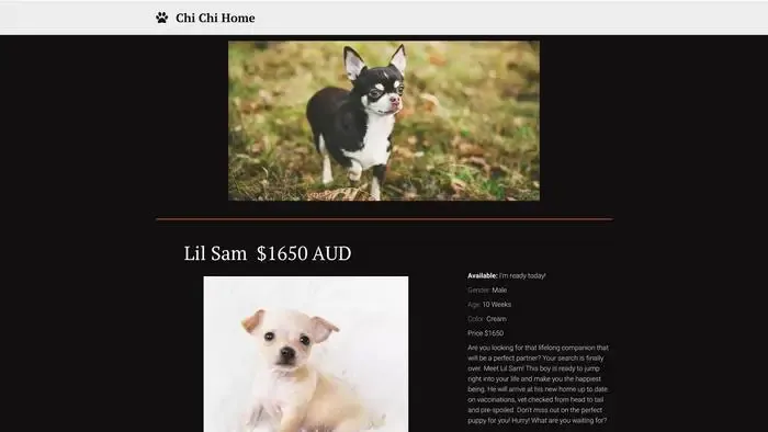Screenshot of