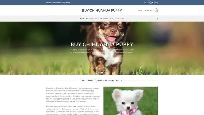 Screenshot of