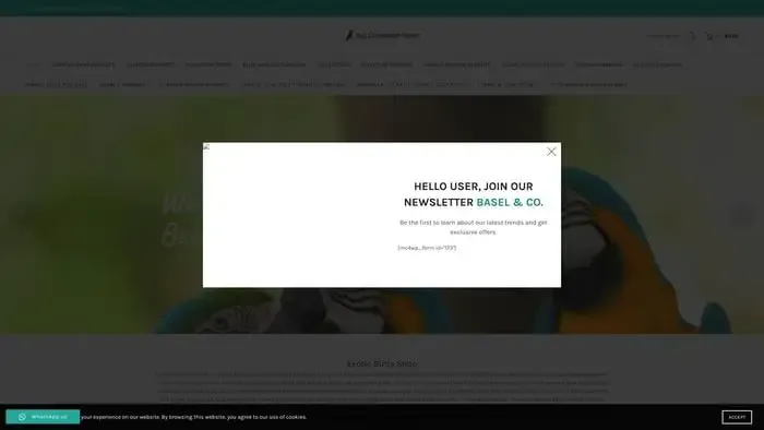 Screenshot of