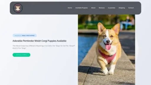 Screenshot of