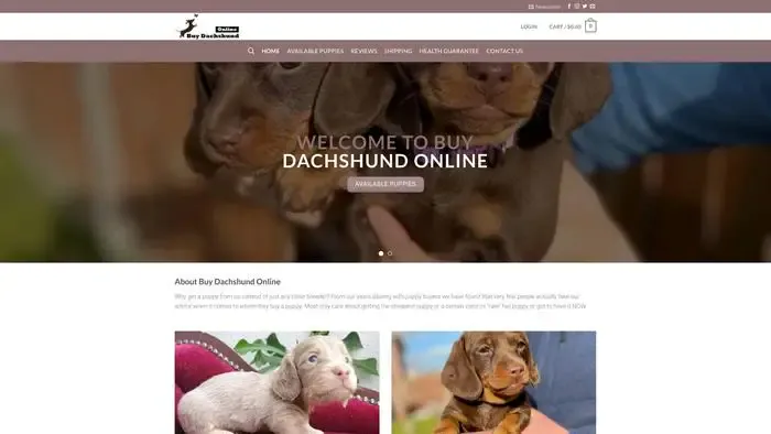 Screenshot of