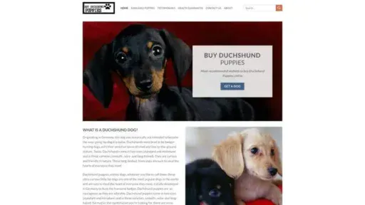 Screenshot of