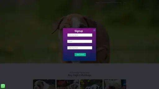 Screenshot of