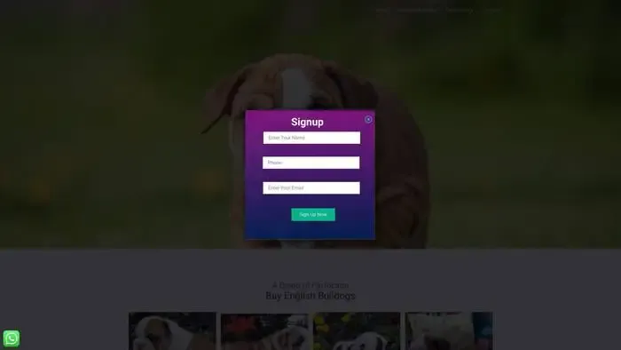 Screenshot of