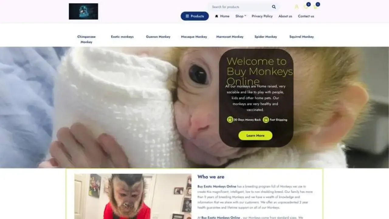 Buyexoticmonkeysonline