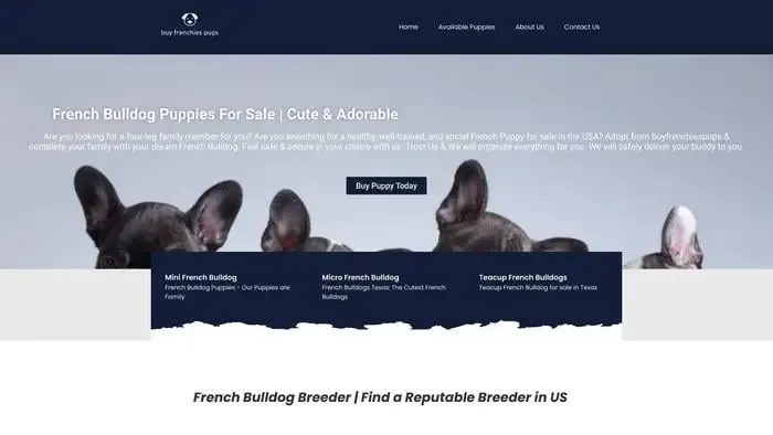 Screenshot of