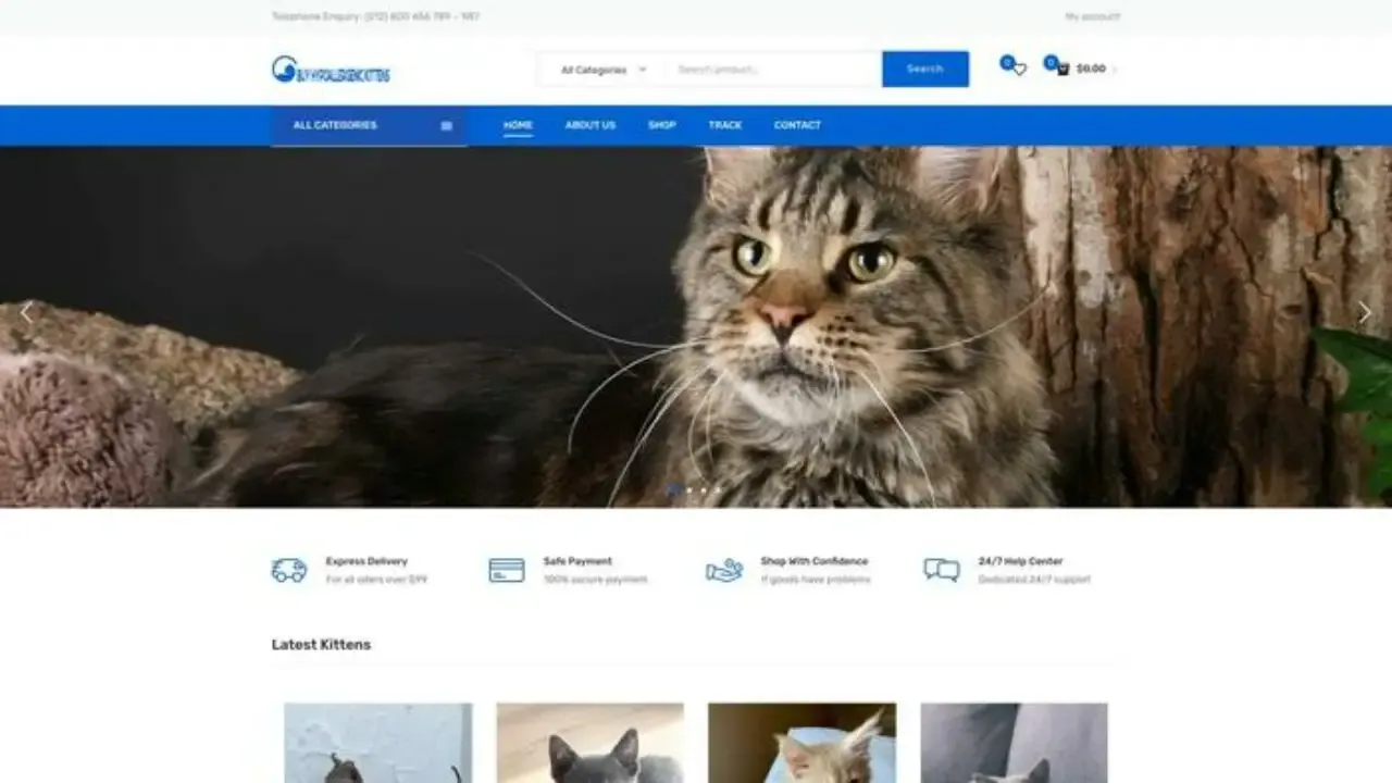 Buyhypoallergenickittens