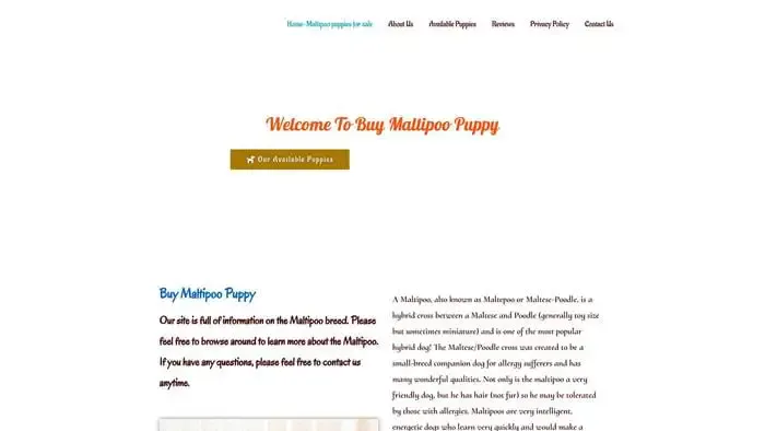 Screenshot of