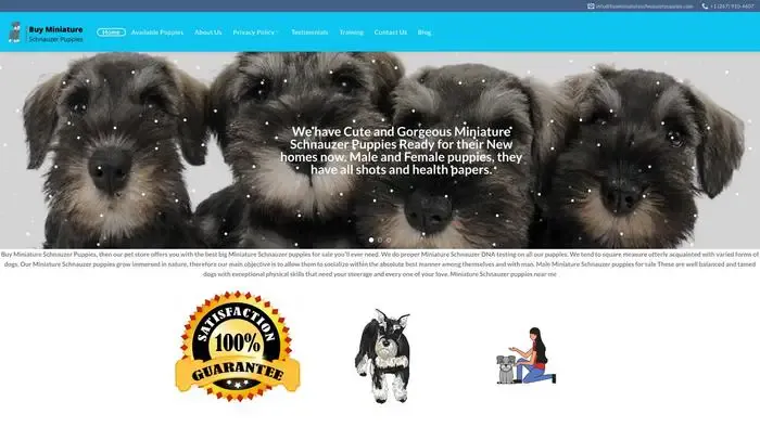 Screenshot of