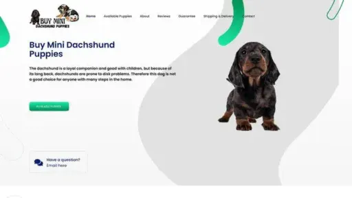 Screenshot of