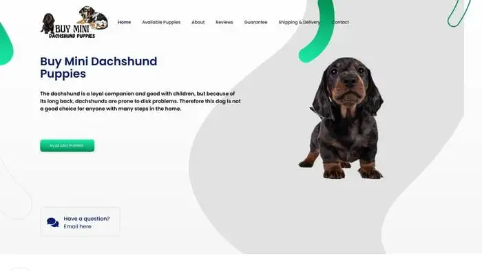 Screenshot of