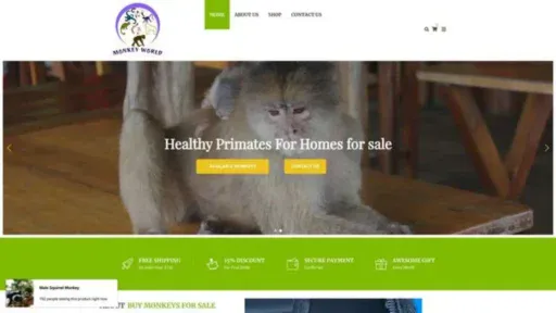 Screenshot of||