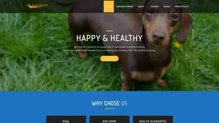 Screenshot of