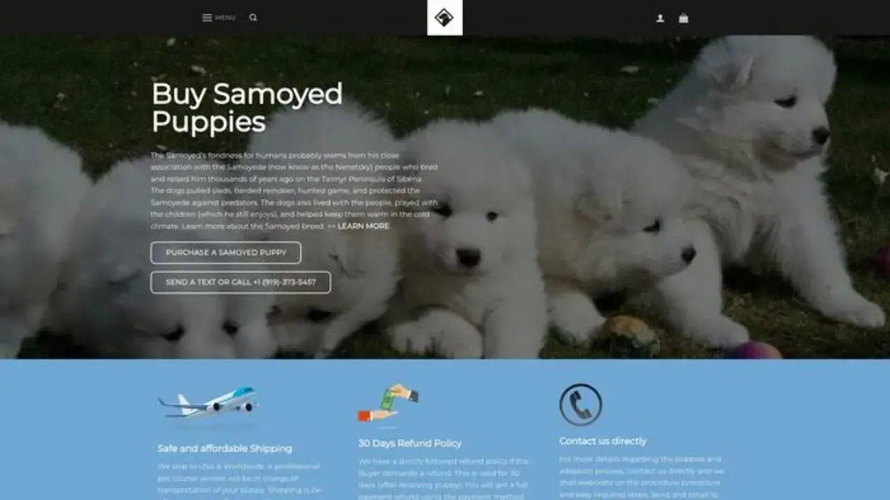 Buysamoyedpuppies