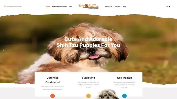 Screenshot of