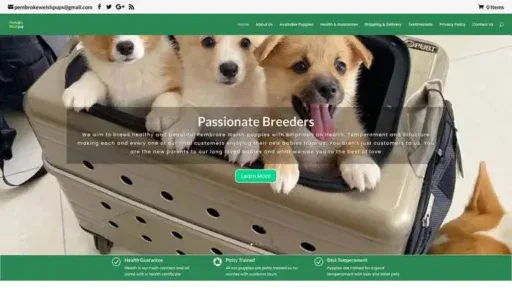 Screenshot of