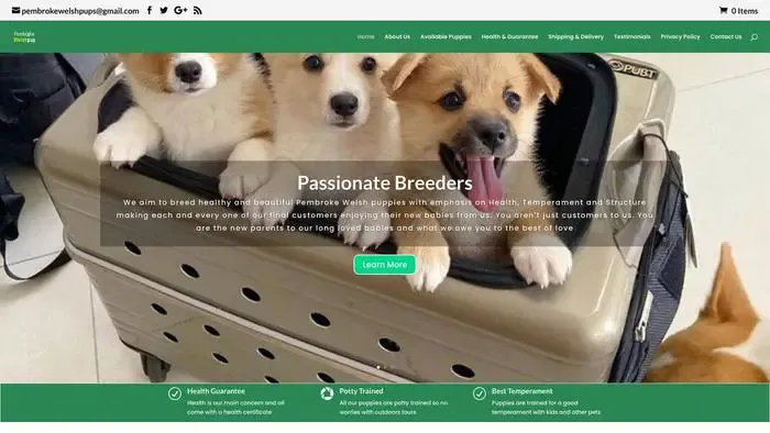 Screenshot of