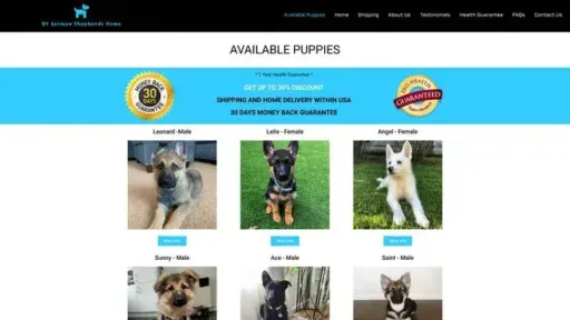 Screenshot of