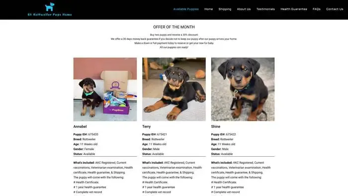Screenshot of