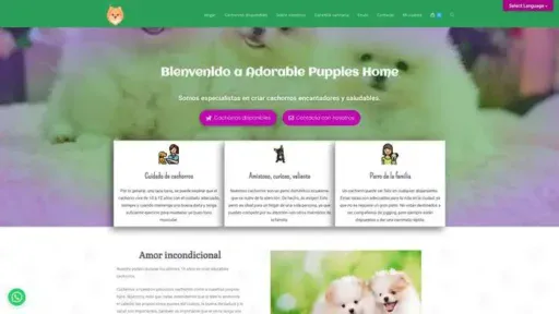 Screenshot of