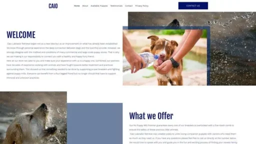 Screenshot of