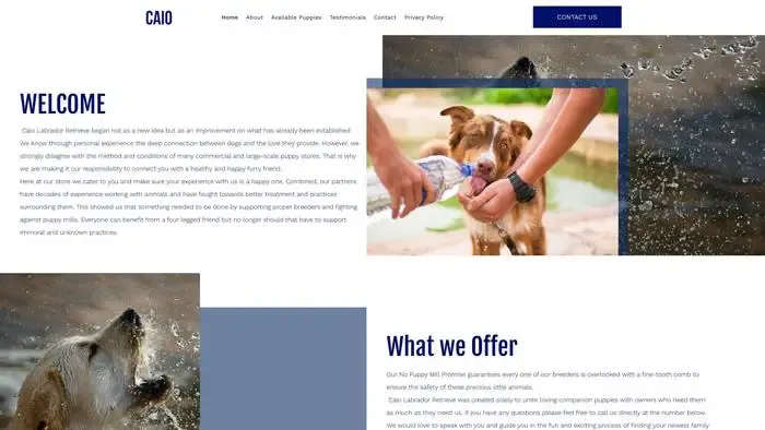 Screenshot of