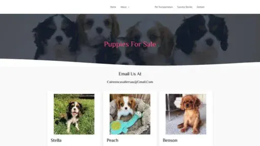 Screenshot of