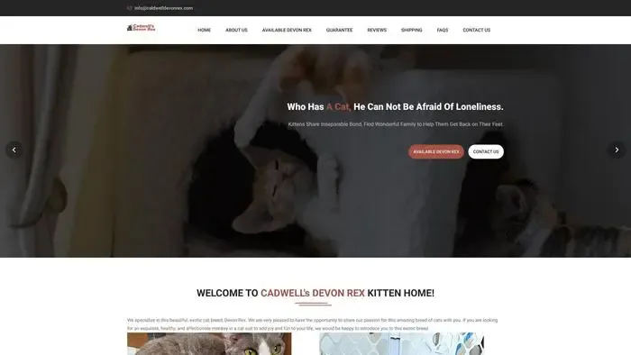 Screenshot of