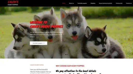 Screenshot of