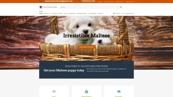 Screenshot of
