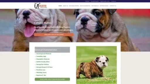 Screenshot of