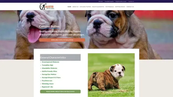 Screenshot of