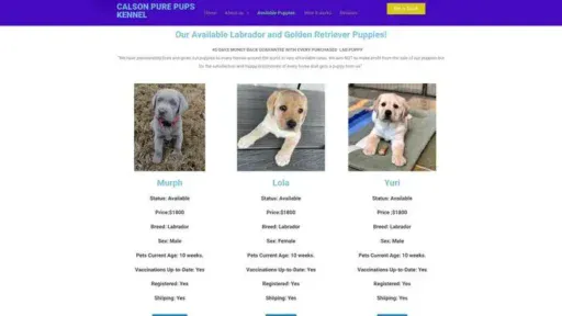 Screenshot of