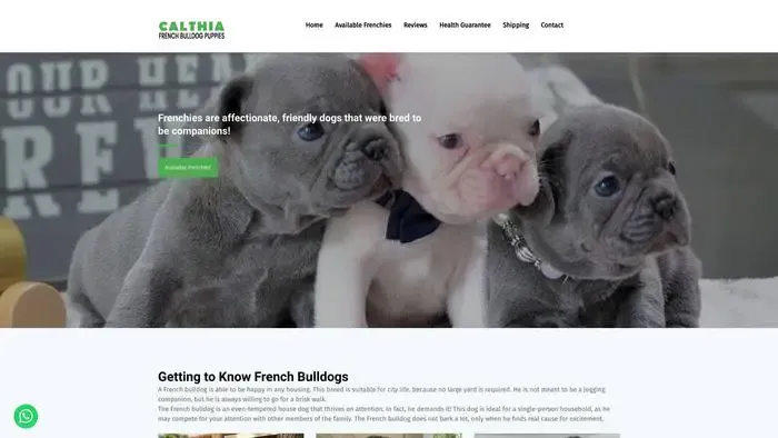 Screenshot of