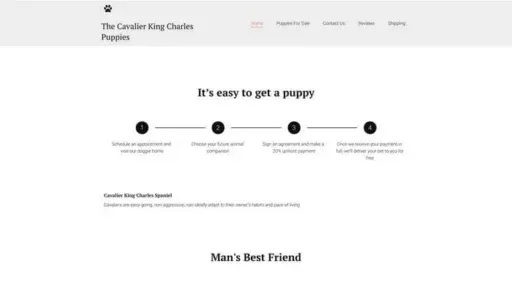 Screenshot of