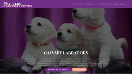 Screenshot of