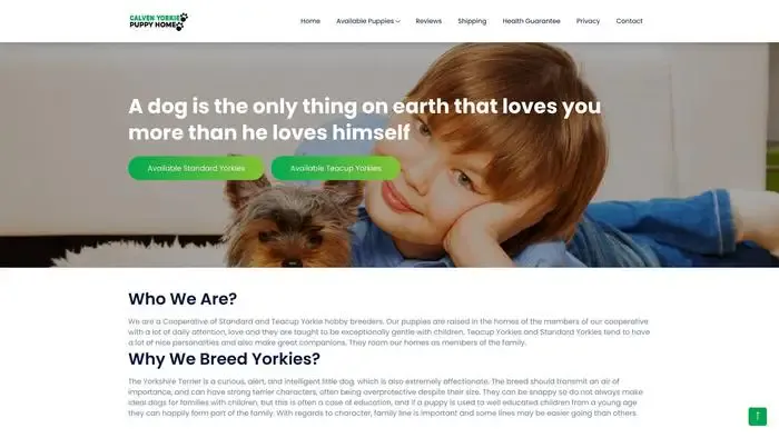 Screenshot of