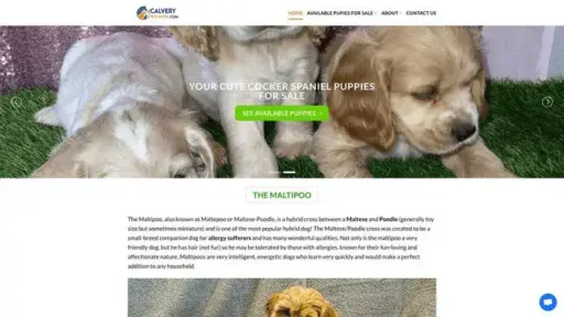 Screenshot of