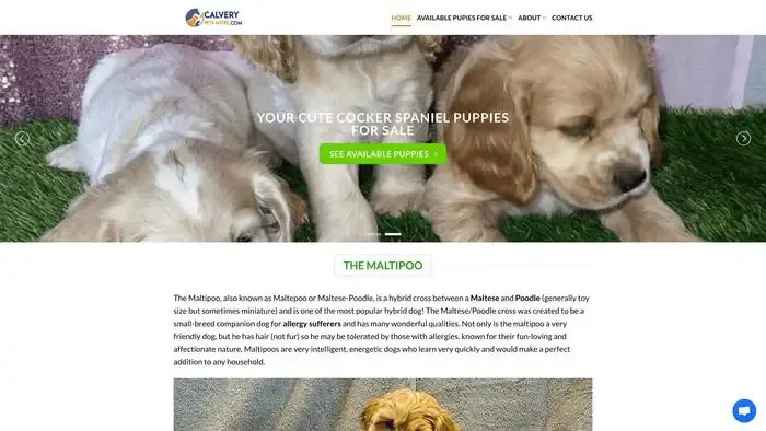 Screenshot of