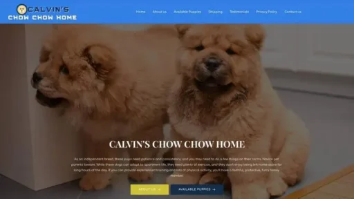 Screenshot of