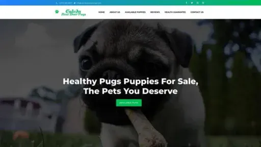 Screenshot of